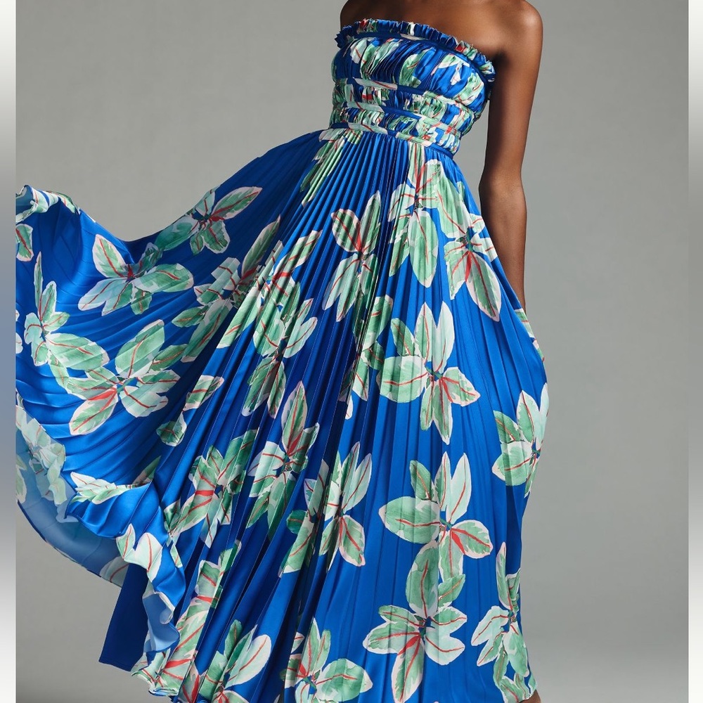 Hutch strapless pleated maxi dress